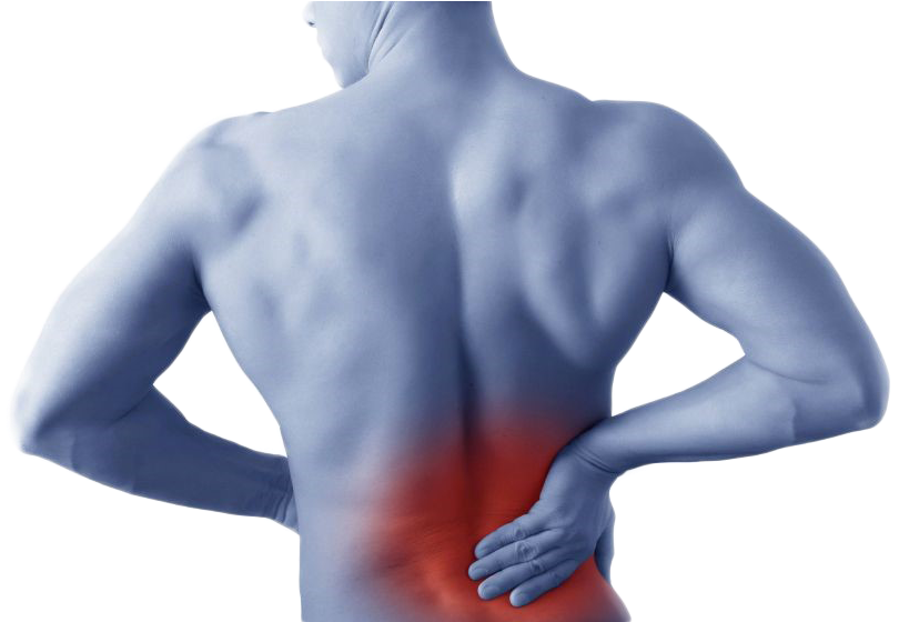 About Small - Back Pain Revealed: Causes, Preventions And Treatments (859x559), Png Download