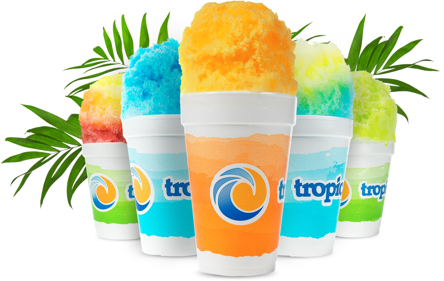 Tropical Sno (1700x1066), Png Download