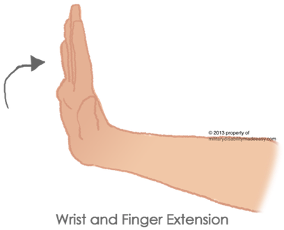 Picture1 - Wrist (408x330), Png Download