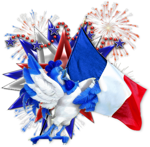 Feu D'artifice - Flag (508x500), Png Download