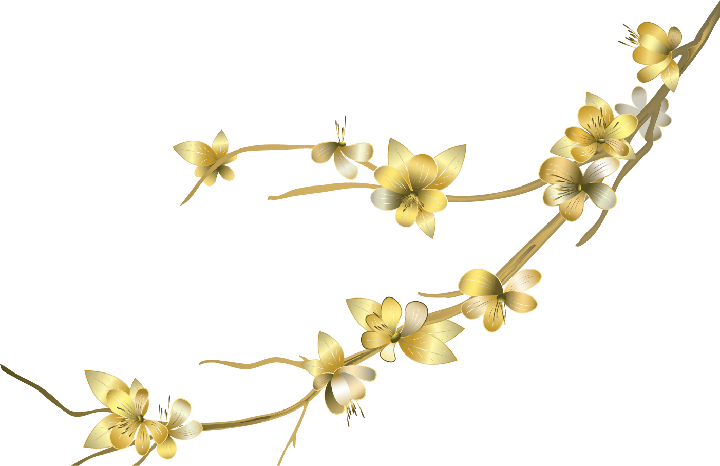 Floral Png Free Download - Purple Flower Png (1024x662), Png Download