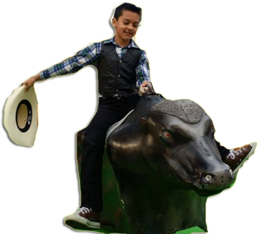 About - Bull (1024x1024), Png Download