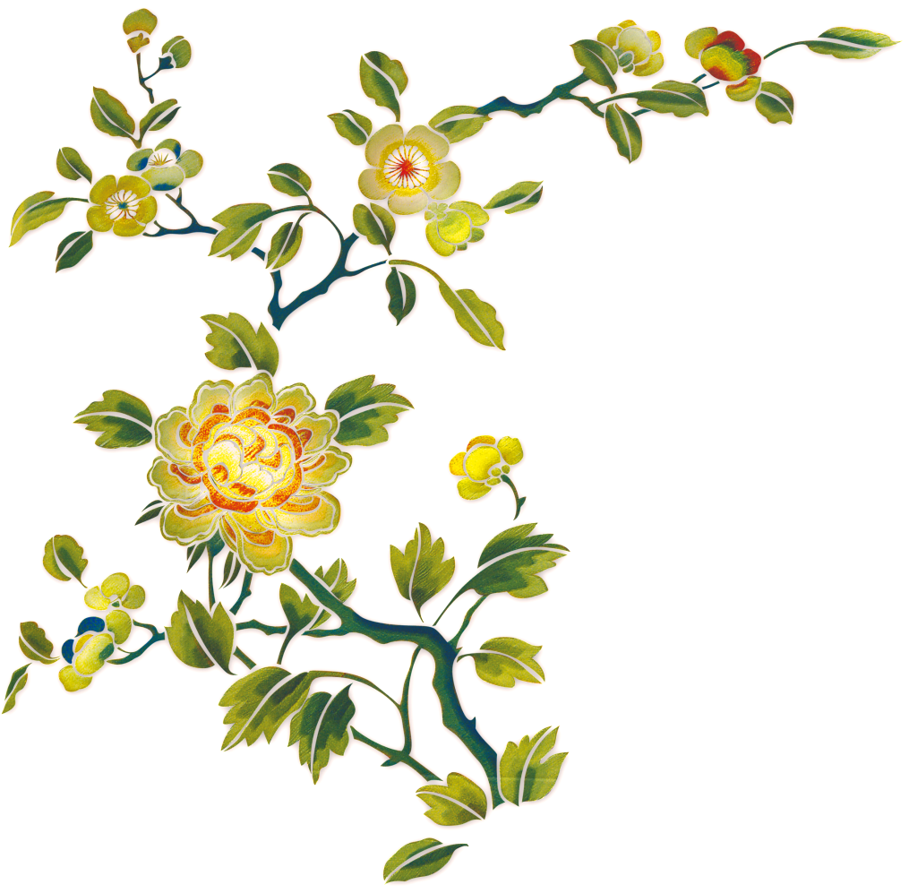 Hand Painted Beautiful Flower Branch Flower - Shoumei Tea (1024x1024), Png Download