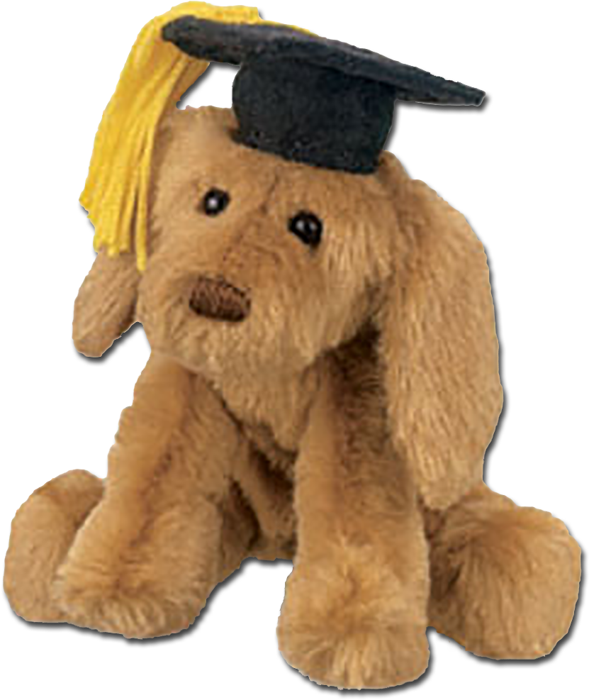 Gund's Plush Puddles The Labrador Retriever Plush Graduate - Graduation Stuffed Animals (856x1000), Png Download