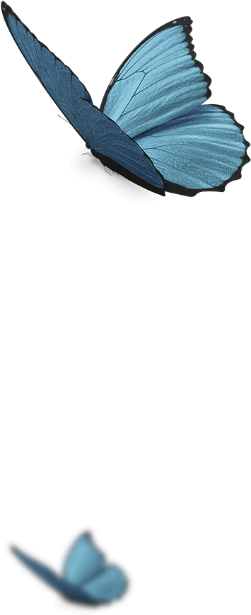 Page Decoration Page Decoration - Decorative Arts (451x869), Png Download