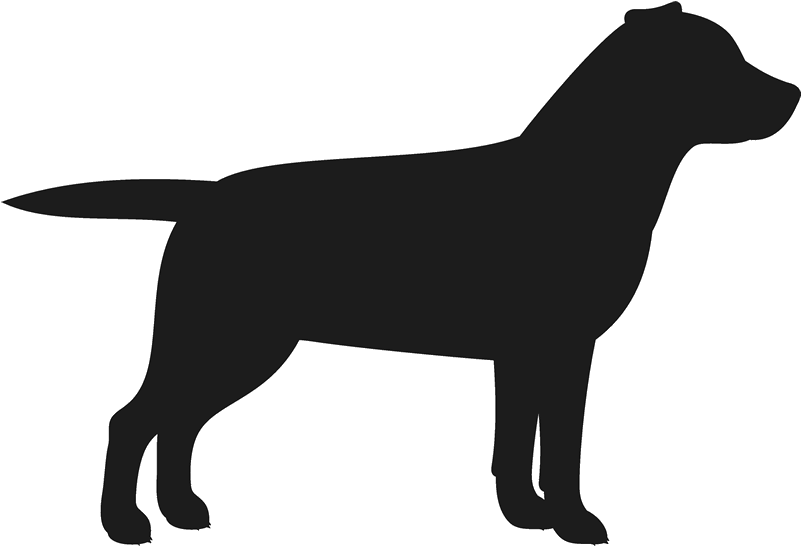 Labrador Retriever Stamp Dog, Cat Amp Fur Baby Stamps - Black Lab Labrador Retriever Dog Breed Retractable (800x800), Png Download
