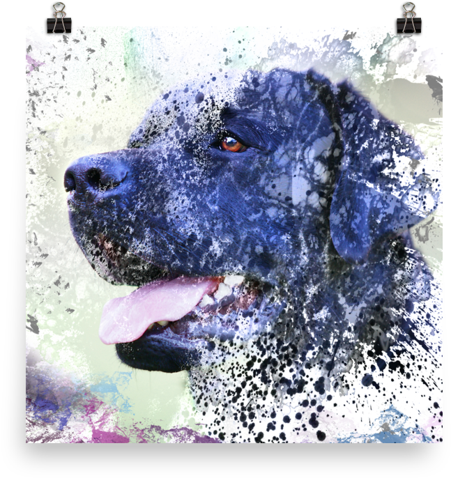 Black Lab Abstract Painting Labrador Retriever Dog - Labrador Retriever (1000x1000), Png Download