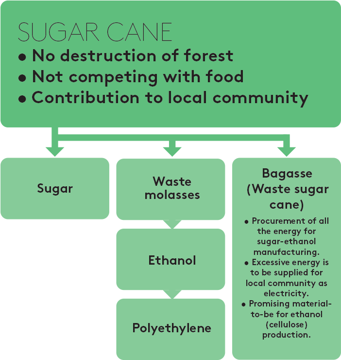 Sugarcane-flow2 - Portable Network Graphics (1000x800), Png Download