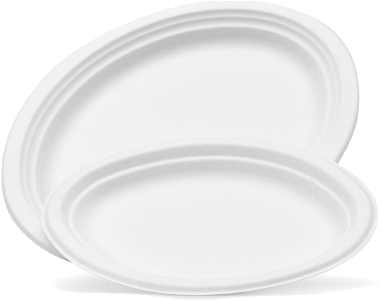 White Sugarcane Oval Plates/platters - Plate (499x500), Png Download