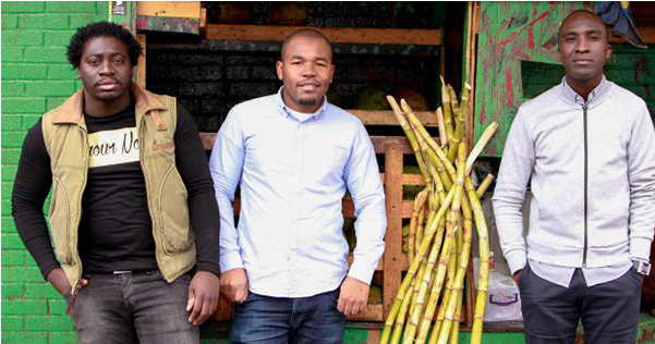 Sugarcane Island Founders - Agave (1100x384), Png Download
