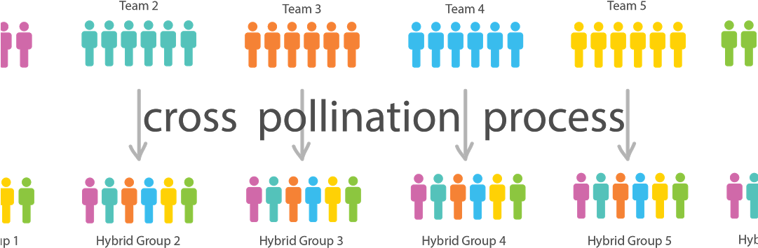 The Value Of Interdisciplinary Friction - Ideas Cross Pollination (1080x365), Png Download