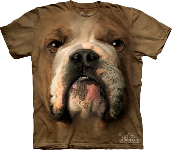Bulldog Face Available Now At Novelty Everywear - Bulldog Face T Shirt (550x480), Png Download