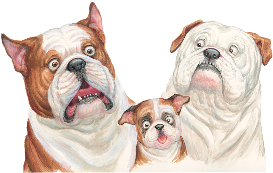 20 - Portable Network Graphics (1000x703), Png Download