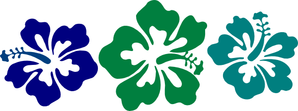 Hibiscus Png - Big Island Tv Logo (600x224), Png Download