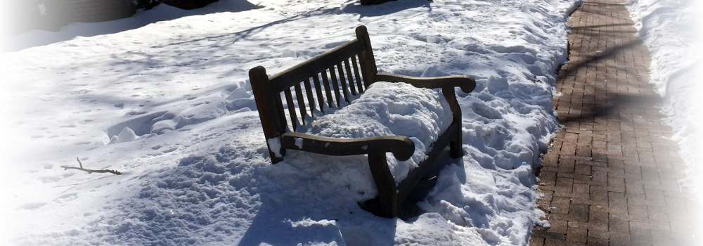 Snow Day Policy - Snow (1000x350), Png Download