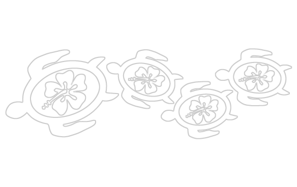 Turtle Border Black And White (584x368), Png Download