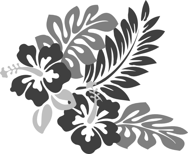 Hibiscus Png - Hibiscus Clip Art (600x492), Png Download