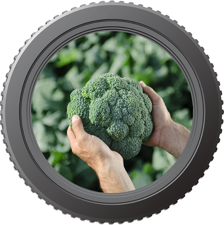 Lens Brocolli - Meze (750x767), Png Download
