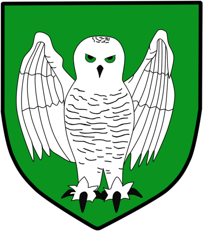 House Wilde - Owl Coat Of Arms (999x799), Png Download