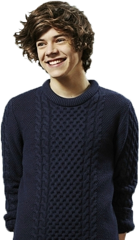 Harry Styles - Harry Styles With Flowers (500x466), Png Download
