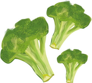 Brocolli - Broccoli (400x400), Png Download