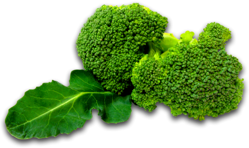 Brocolli - Png Vegetables (500x500), Png Download