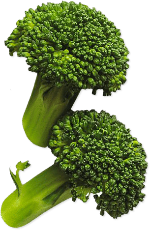 Previous Next - Broccoli (305x468), Png Download