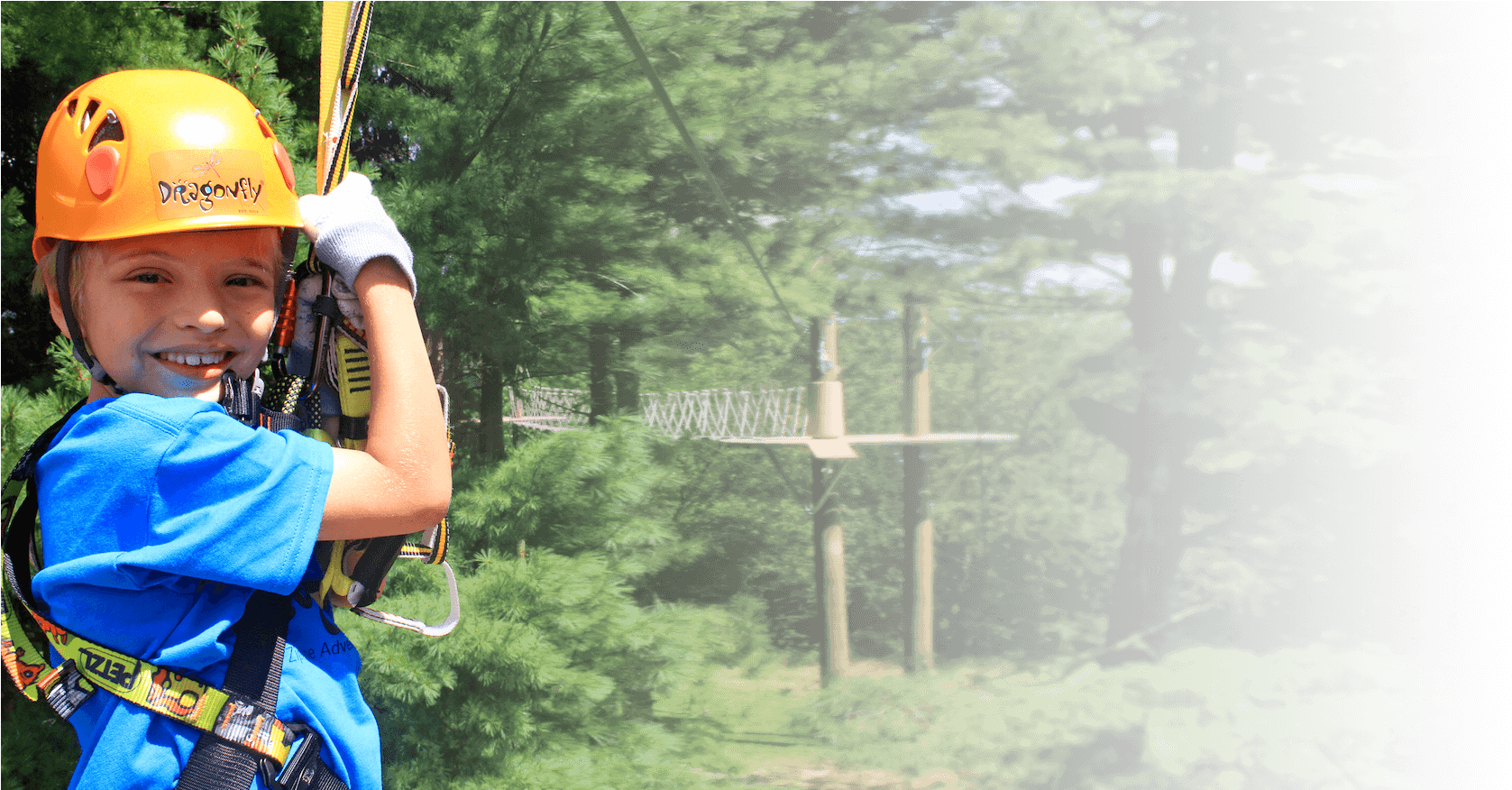 Host A Dragonfly Party For Your Child - Grove (2000x875), Png Download