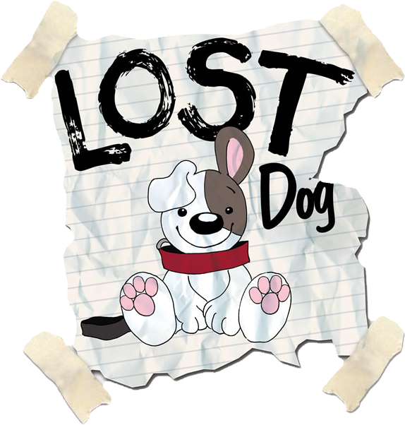 Shelby County Animal Shelter Lost And Found - Lost And Found Dog Png (675x675), Png Download