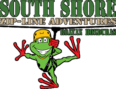 South Shore Canopy Zipline (400x308), Png Download