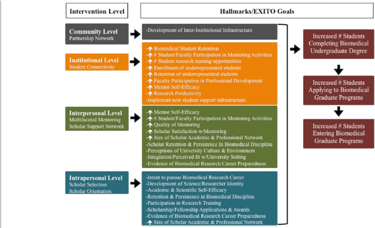 Build Exito Evaluation - Disc Jockey (850x445), Png Download