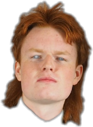 Report Abuse - Mullet (308x419), Png Download