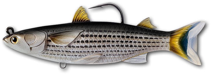 Live Target Mullet Swimbait (750x282), Png Download