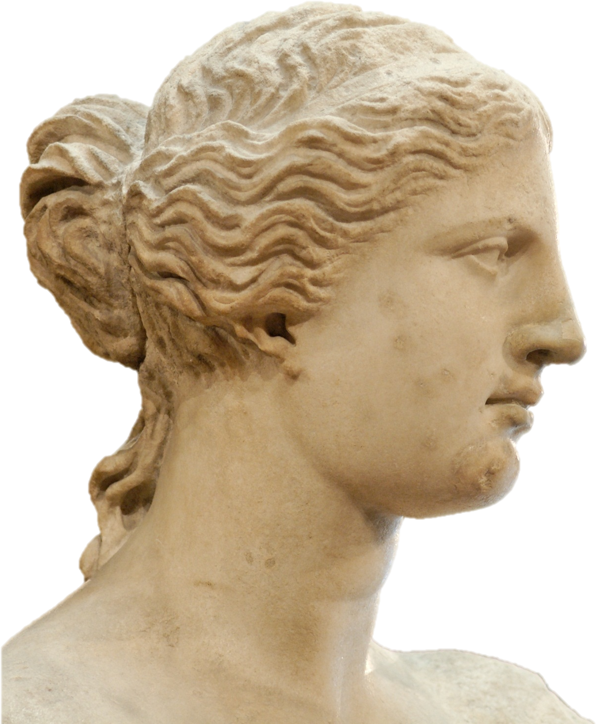 Venere Di Milo - Venus De Milo Head Png (1760x1599), Png Download
