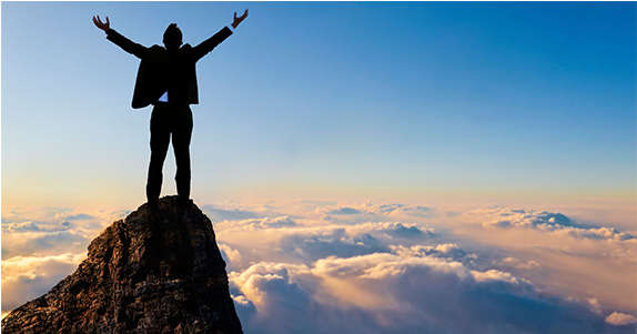 Freedom Framework: The Business Owner's Guide (900x300), Png Download