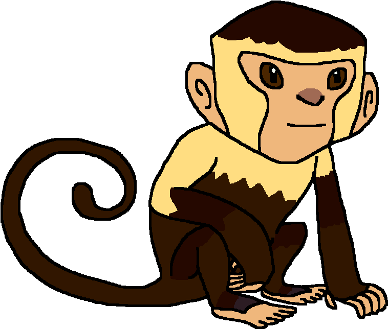 Capuchin Monkey (768x657), Png Download