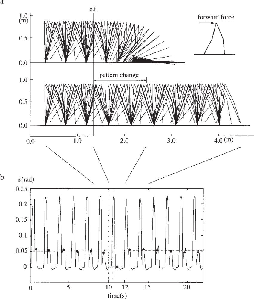 Stick Figure Of The Walking Motion When The Forward - Motion (850x998), Png Download