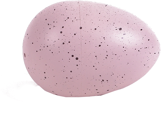 Giganotosaurus Eggs - Cosmetics (581x581), Png Download