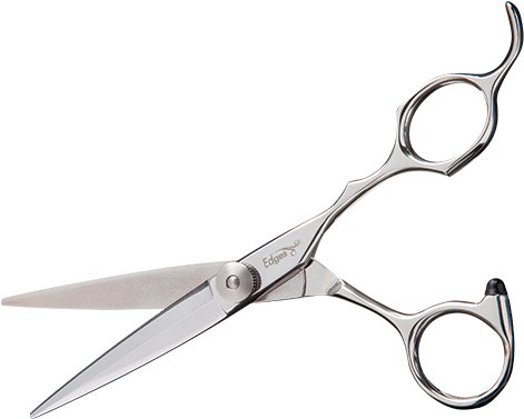 Hawk Is A Versatile Pair Of Scissors For Point Cutting - Manta Ray (500x500), Png Download