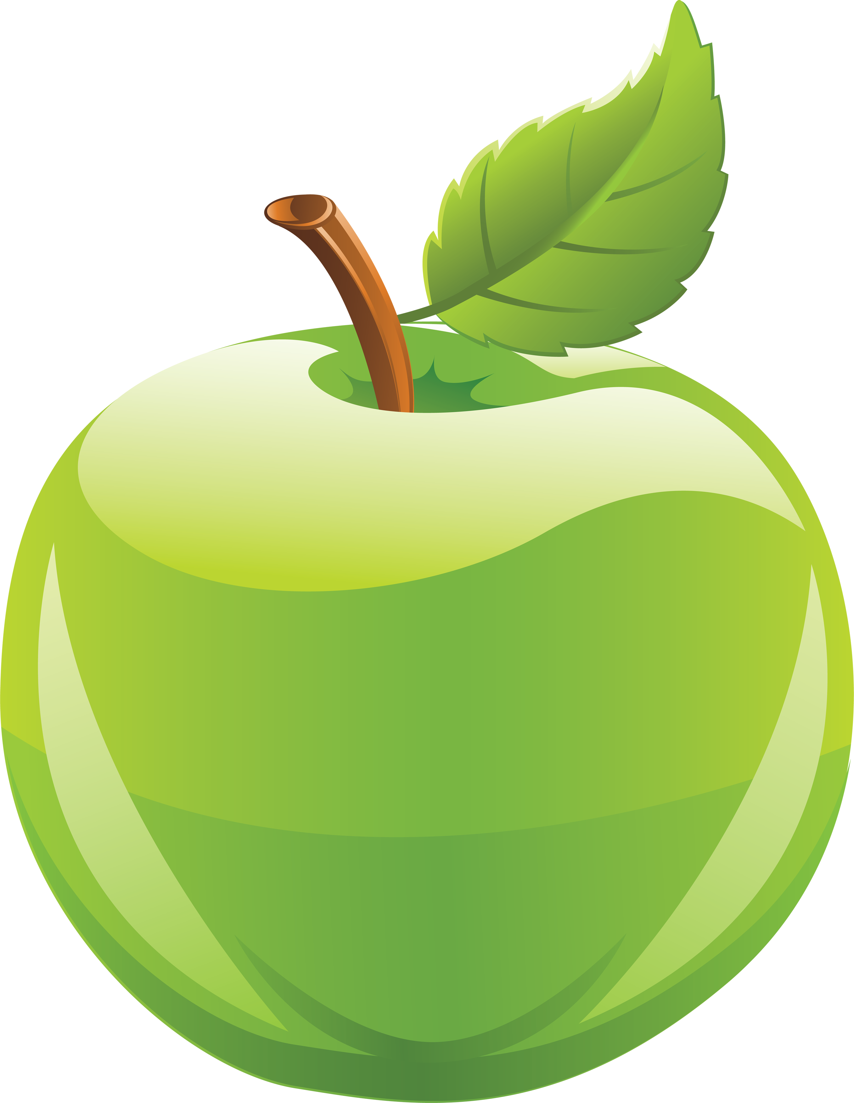 Green Apple Png Image - Hair (2714x3504), Png Download