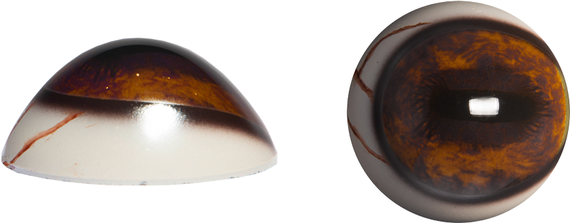 Elk Pr Veins (838x838), Png Download