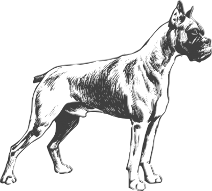 Dog Png Clipart - Boxer Dog Png Vector (415x375), Png Download