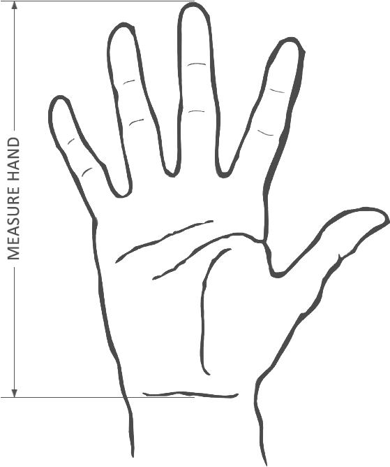 Large (587x690), Png Download