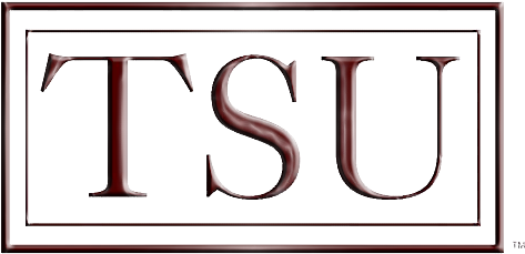 50 Shades Of Black - Tecnico Superior Universitario (528x302), Png Download