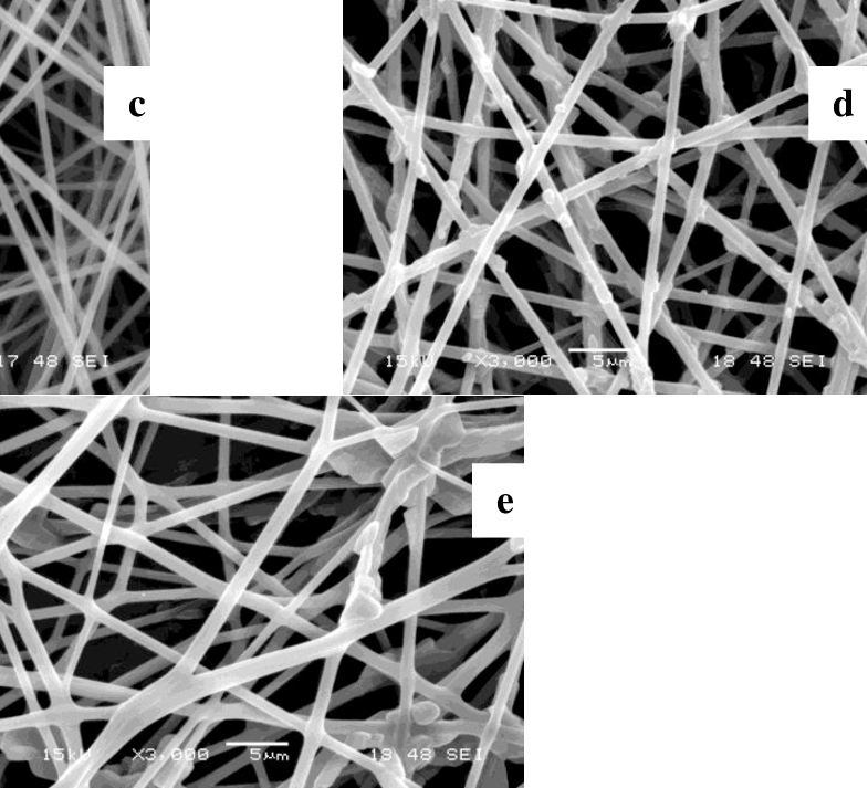 Sem Micrograph Of Ca Electrospun Fiber Prepared From - Architecture (785x713), Png Download