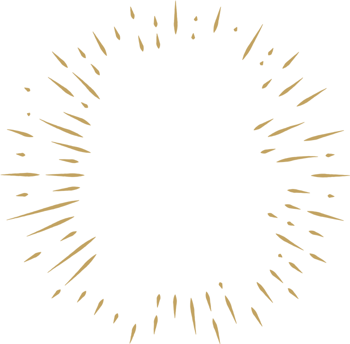 Fireworks - Circle (1080x1920), Png Download