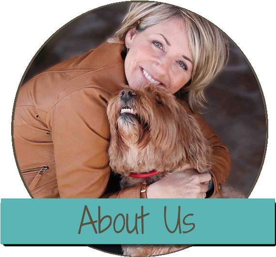 Daisy Hill Australian Labradoodles (576x535), Png Download