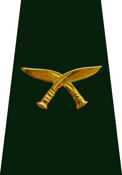 Nepali Army Rank Structure - Emblem (390x557), Png Download