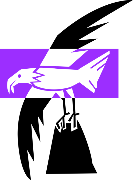 Vector Illustration Of Bald Eagle Predator Bird In - Illustration (519x700), Png Download