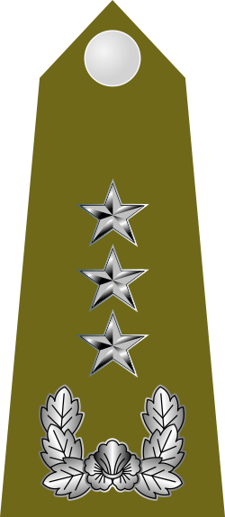 Comparative Military Ranks Of Korea - Emblem (250x575), Png Download